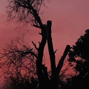 Meet your Posher, Joselyn